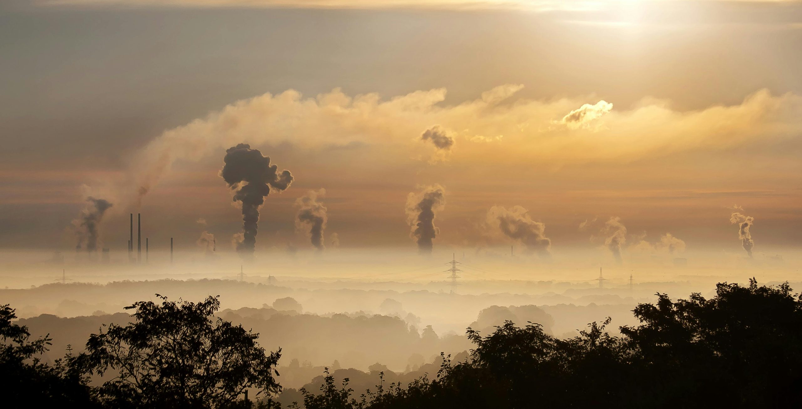 carbon-neutrality-and-net-zero-emission-thumnail